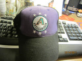Arizona Diamonbacks Adjustable Hat New W/O Tag