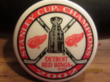 Detroit Red Wings 2002 Stanley Cup Champions Magnet