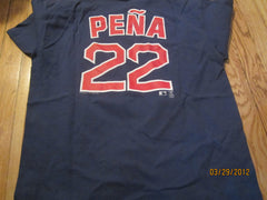 Boston Red Sox #22 Carlos Pena T Shirt Medium