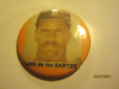 Detroit Tigers Luis de los Santos Photo Pin