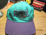 Charlotte Hornets Logo Two Tone Snapback Hat