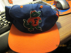 Florida Gators Logo Two Tone 7 1/2 Fitted Hat By The Game