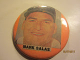 Detroit Tigers Mark Salas Photo Pin